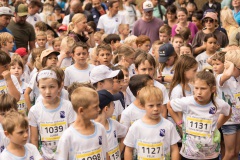 0771-2026_07_26-11_47_26-IMG_3355