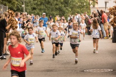 0884-2026_07_26-11_59_21-IMG_3464