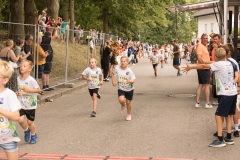 0911-2026_07_26-11_59_57-IMG_3491