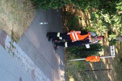 k-IMG_6241
