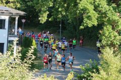 k-IMG_6243
